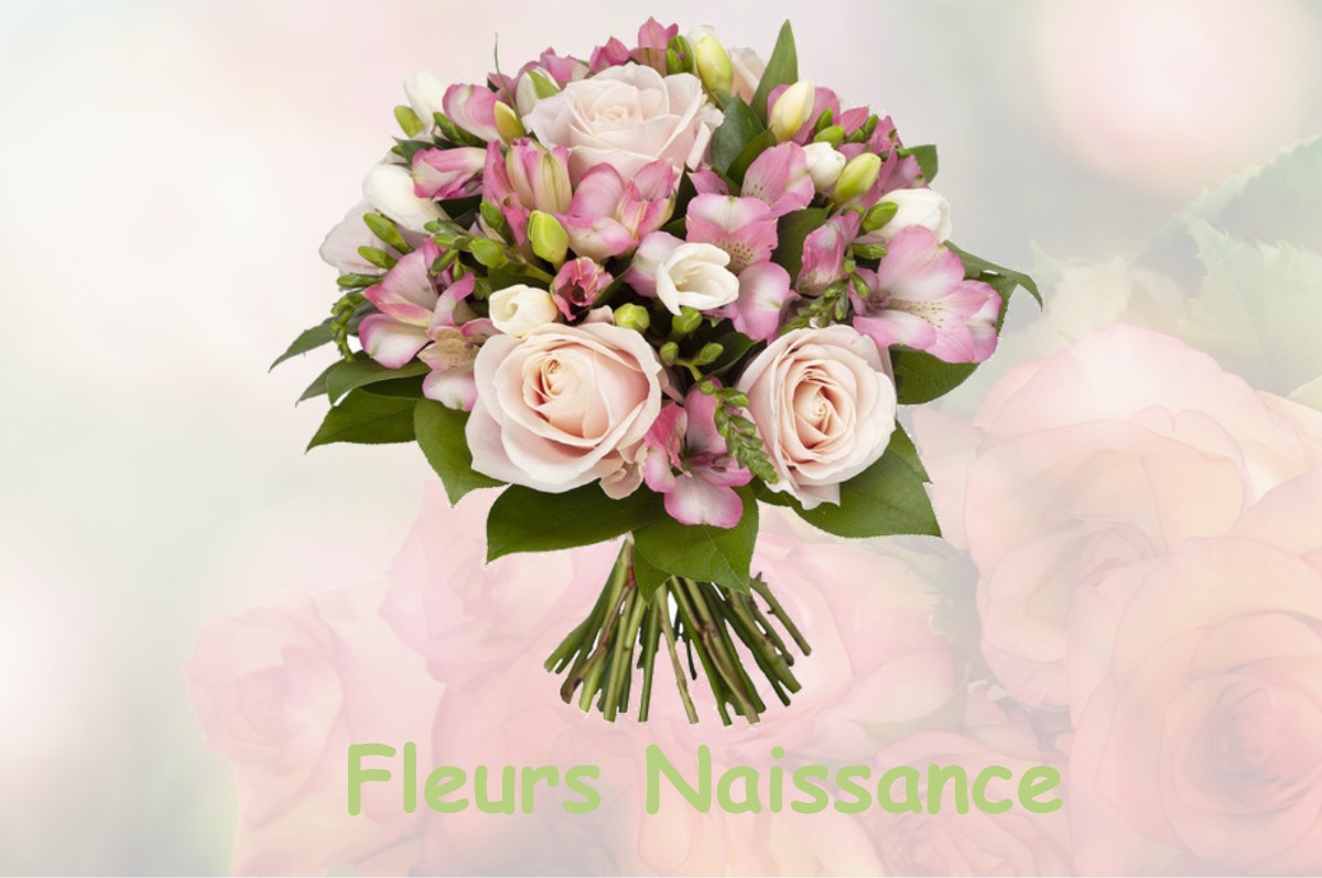 fleurs naissance LE-CLOITRE-SAINT-THEGONNEC